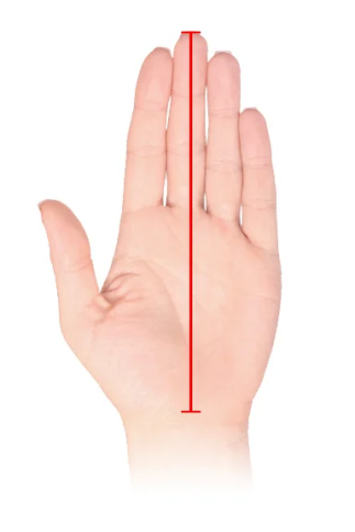 Hand length